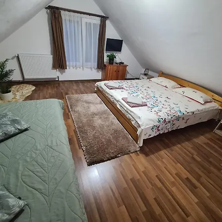 Дом отдыха Busuioc *